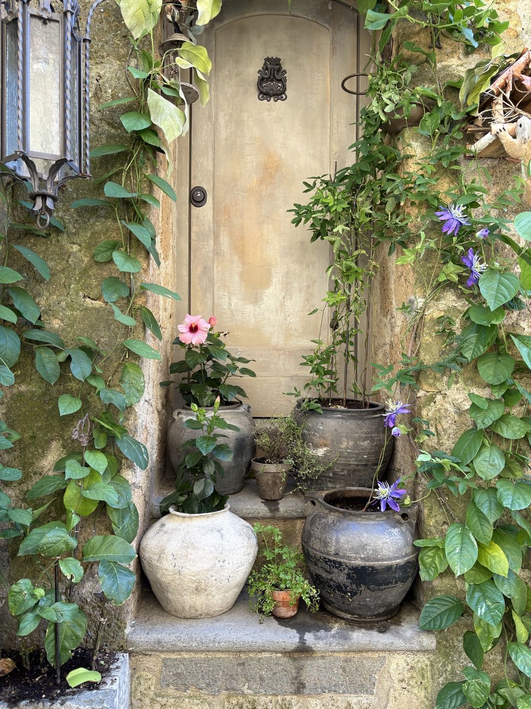A flower-filled Italian doorway