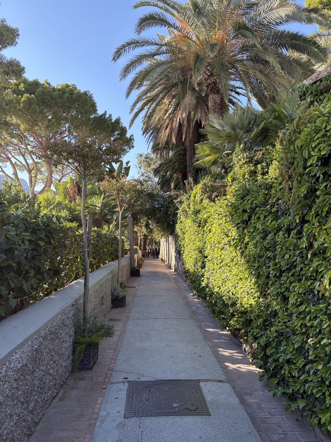 A peaceful garden walk